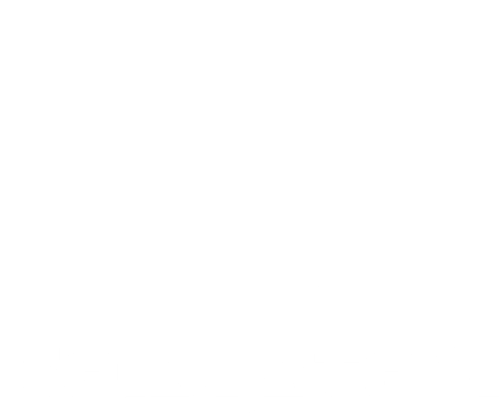 Belsystem